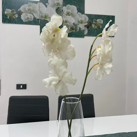 Appartement Claudiae Domus Rome