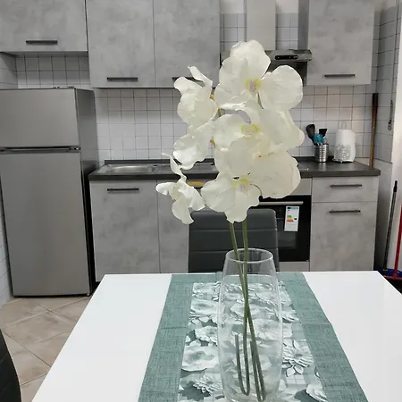 Claudiae Domus Appartement Rome